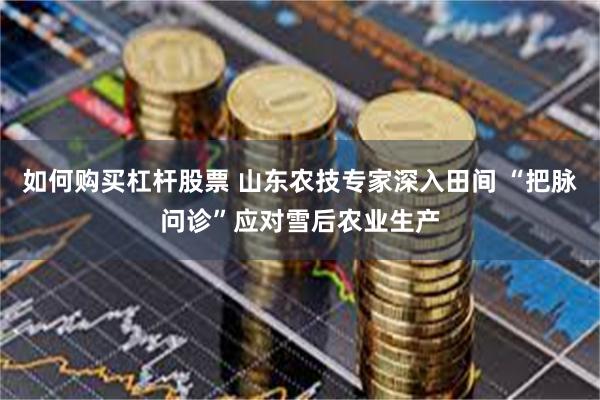 如何购买杠杆股票 山东农技专家深入田间 “把脉问诊”应对雪后农业生产
