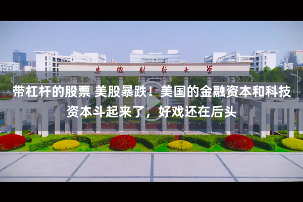 带杠杆的股票 美股暴跌！美国的金融资本和科技资本斗起来了，好戏还在后头
