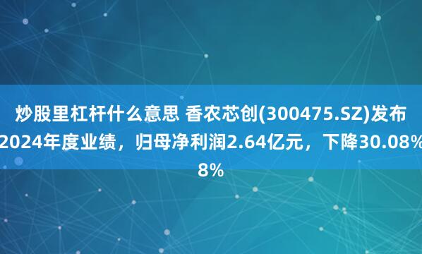 炒股里杠杆什么意思 香农芯创(300475.SZ)发布2024年度业绩，归母净利润2.64亿元，下降30.08%