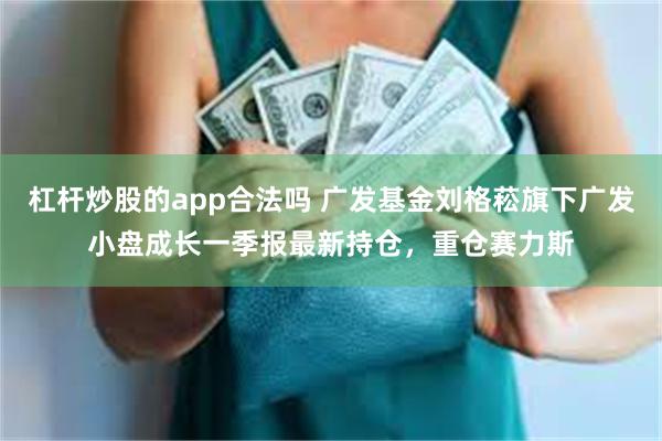 杠杆炒股的app合法吗 广发基金刘格菘旗下广发小盘成长一季报最新持仓，重仓赛力斯