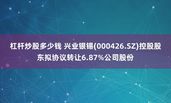 杠杆炒股多少钱 兴业银锡(000426.SZ)控股股东拟协议转让6.87%公司股份