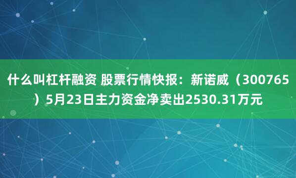 什么叫杠杆融资 股票行情快报：新诺威（300765）5月23日主力资金净卖出2530.31万元