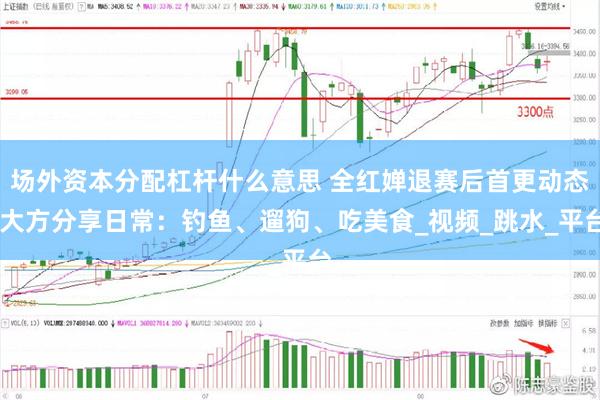 场外资本分配杠杆什么意思 全红婵退赛后首更动态 大方分享日常：钓鱼、遛狗、吃美食_视频_跳水_平台
