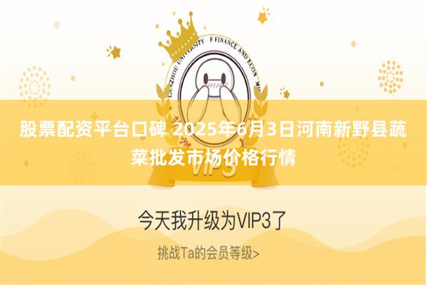 股票配资平台口碑 2025年6月3日河南新野县蔬菜批发市场价格行情