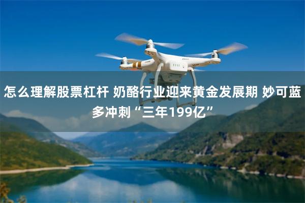 怎么理解股票杠杆 奶酪行业迎来黄金发展期 妙可蓝多冲刺“三年199亿”