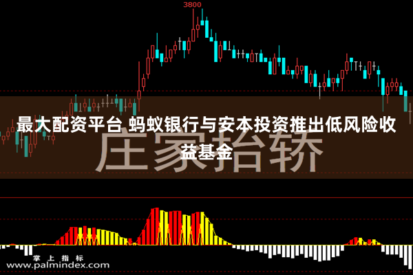 最大配资平台 蚂蚁银行与安本投资推出低风险收益基金