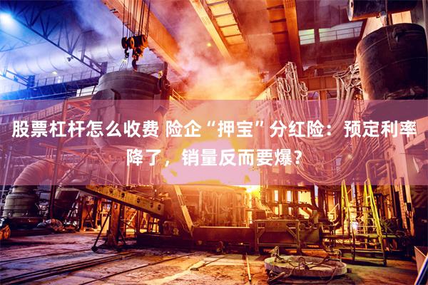 股票杠杆怎么收费 险企“押宝”分红险：预定利率降了，销量反而要爆？