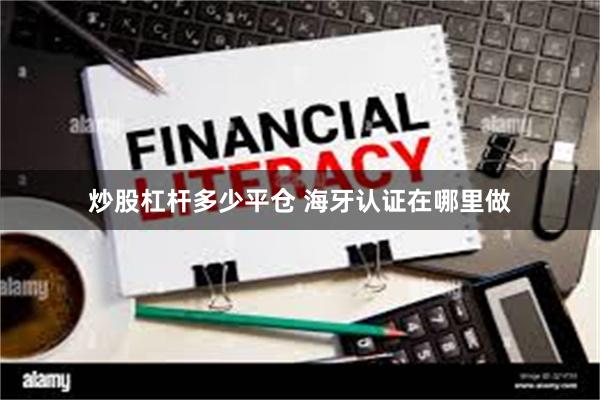 炒股杠杆多少平仓 海牙认证在哪里做
